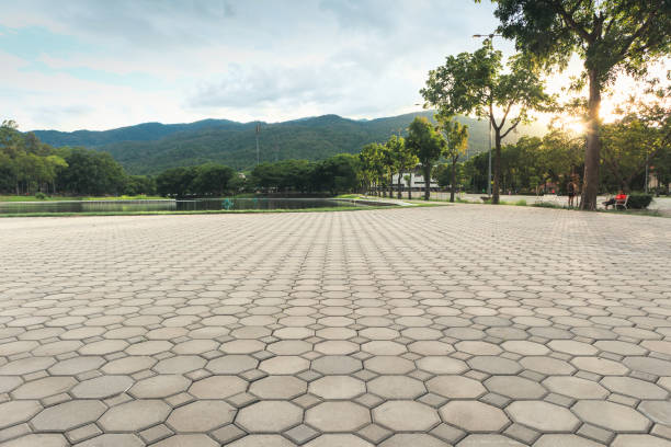 Best Residential Paver Driveway  in Florence Graham, CA